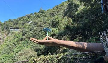 Privédagtour naar Gulong Canyon en Grot Fairland vanuit Guangzhou