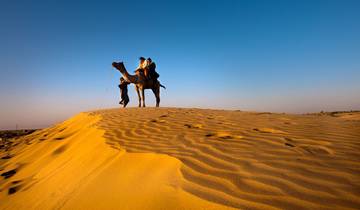 Rajasthan Forts & Tiger Safari Trails von G Experiences Rundreise