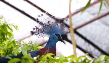 Papua New Guinea Highlands Cultural Expedition