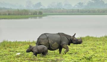 Northeast India and Bhutan Enchanting Trails By G Experiences