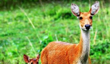 Northeast India and Bhutan Enchanting Trails By G Experiences
