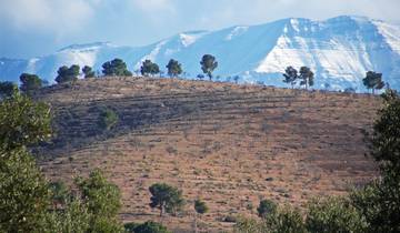 Circuito Semana de Marrakech y las Montañas - 7 días