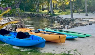 Joyful Shift Retreat