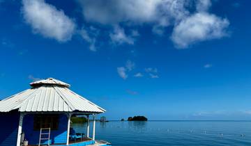 Joyful Shift Retreat