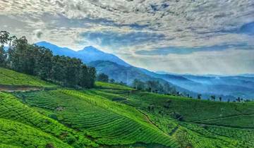 Kerala Essence Trails door G Experiences-rondreis