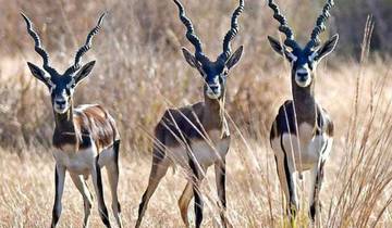 Triangle d\'or et pistes cachées de Karauli par G Experiences circuit