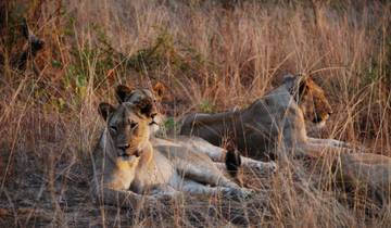 Rwanda - Rencontres avec la faune sauvage (8 jours) circuit
