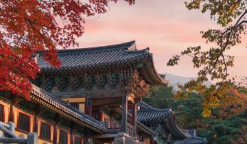 17 Dagen Authentiek Japan & Zuid-Korea - 2027-rondreis