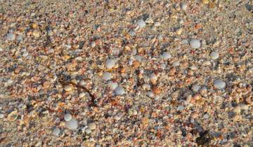The most beautiful beaches of Crete and the Samaria Gorge Tour