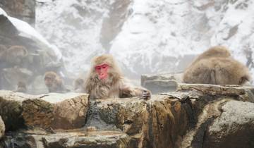 Circuit de découverte culturelle et alpine du Japon