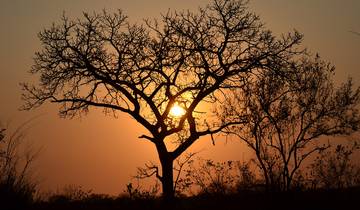 Experiencia en el Albergue Kruger