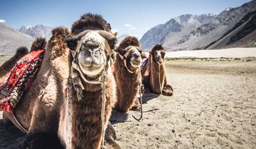 Les sentiers panoramiques de Leh et du Ladakh par G Experiences circuit