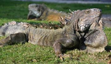 5 jours De la perle du Pacifique au charme de Loja circuit