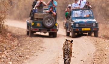 Bandhavgarh, Kanha, Pench & Taj Trails par G Experiences circuit