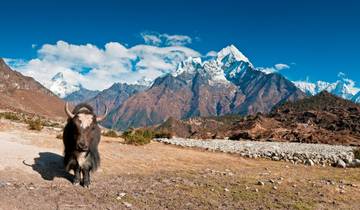 Leh und Ladakh Abenteuerpfade von G Experiences Rundreise