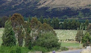 7 Days in New Zealand South Island, incl. Queenstown and Christchurch