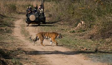 Rajasthan Heritage & Ranthambore Wildlife Trails von G Experiences Rundreise