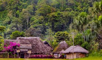 Ecuadorian Amazon Experience: Napo River & Archidona - 3 Days/ 2 Nights