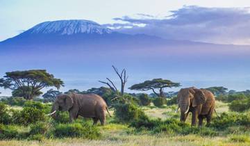 Safari dans les collines de Taita, court séjour (sur demande) circuit