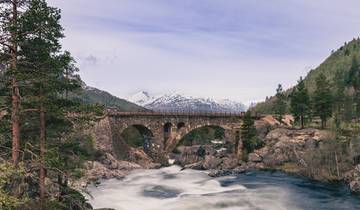Sur la route d'or de la Norvège (10 jours)