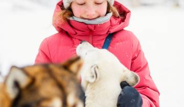 Winter in Finnland (8 Tage) Rundreise