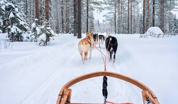 Cottages & Polarlichter in Finnisch-Lappland (7 Tage) Rundreise