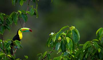 Costa Rica and Nicaragua - Natural Treasures and Cultural Heritage