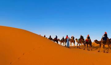7 Day Morocco Tour From Casablanca to Marrakech: Chefchaouen, Fes & Sahara Desert Tour