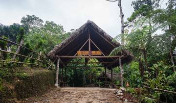 4 jours d\'expérience en Amazonie Hakuna Matata au départ de Quito circuit