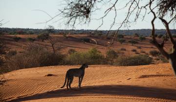 10 DAYS - BEST OF NAMIBIA SOUTHERN ODYSSEY VACATION Tour