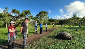 Aventure familiale en Équateur et aux Galápagos (privée) - 12 jours