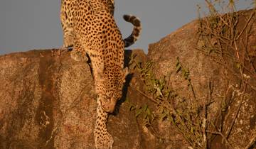 6-tägige Afrika Highlights Safari in Tansania Rundreise