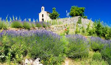 Rhône River Cruise: Between Terroir, History and Local Traditions. (Port to port) (from Lyon to Tain-l’Hermitage)