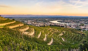 Rhône River Cruise: Between Terroir, History and Local Traditions. (Port to port) (from Tain-l’Hermitage to Lyon)