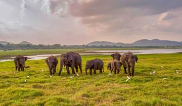 Faces of Sri Lanka Tour