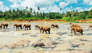 Treasures of Sri Lanka Tour