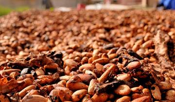 Safari aventure au Ghana - 4 jours / 3 nuits