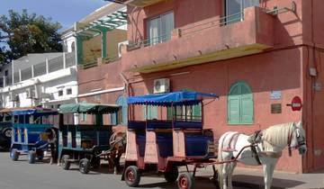 Senegal Highlights 6 Days / 5 Nights