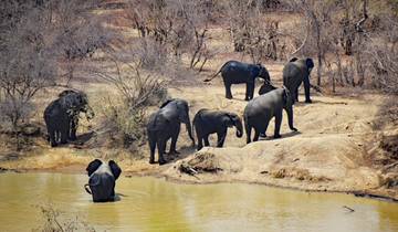 Safari aventure au Ghana - 4 jours / 3 nuits