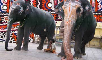 Rondreis door Zuid-India vanuit Chennai-rondreis