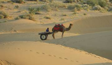 Rajasthan with Varanasi & Ranthambore