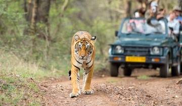 Ranthambore, Varanasi and Taj Mahal Tour Tour