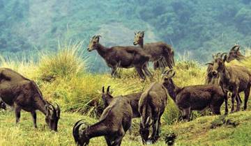 Kerala with Alleppey Tour Tour