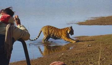 Ranthambore und das königliche Erbe Indiens Rundreise