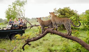 7 -DAYS CAPE TOWN INVERDOORN BIG FIVE SAFARI- OUDTSHOORN -KNYSA- MOSSELL BAY- PLETTENBERG BAY Tour