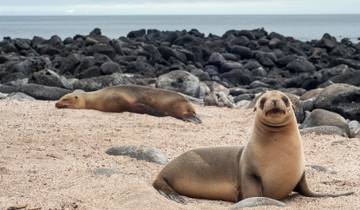 3-tägige Galapagos Express Tour auf der Insel San Cristobal Rundreise