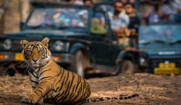 Rajasthan Heritage & Ranthambore Tiger Safari Tour Rundreise