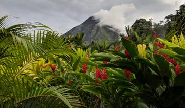 L'essentiel du Costa Rica en 11 jours : Jungle, volcans et plages
