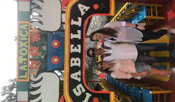 Frida Kahlo Tour Mexico City: Explore Casa Kahlo and Sail in Trajinera Tour