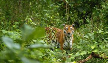 Du Karnataka au Kerala : faune et eaux douces circuit